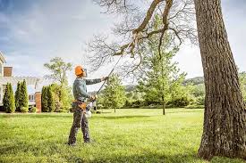  Northford, CT Tree Services Pros